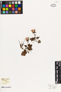 SW_BNB_s3010-09507_IMG-0000000001