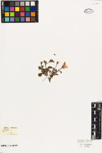 SW_BNB_s3010-09508_IMG-0000000001