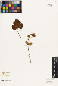 SW_BNB_s3010-09509_IMG-0000000001