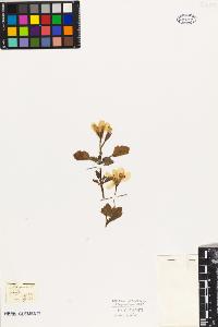 SW_BNB_s3010-09511_IMG-0000000001