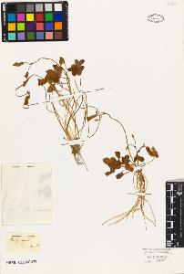 SW_BNB_s3010-09512_IMG-0000000001