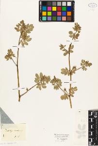 SW_BNB_s3010-09514_IMG-0000000001