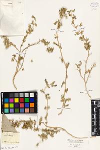 SW_BNB_s3010-09515_IMG-0000000001