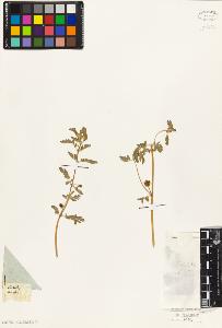 SW_BNB_s3010-09516_IMG-0000000001