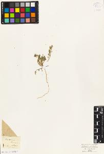 SW_BNB_s3010-09517_IMG-0000000001