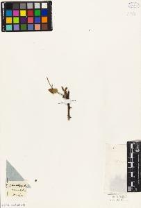 SW_BNB_s3010-09519_IMG-0000000001