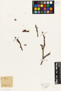 SW_BNB_s3010-09520_IMG-0000000001