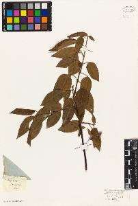 SW_BNB_s3010-09521_IMG-0000000001