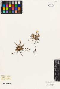 SW_BNB_s3010-09523_IMG-0000000001