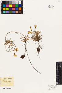 SW_BNB_s3010-09524_IMG-0000000001