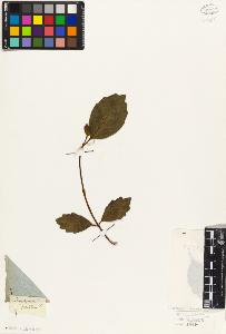 SW_BNB_s3010-09525_IMG-0000000001