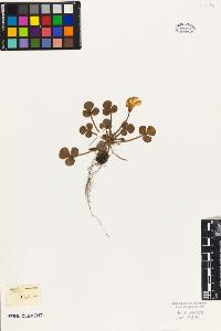 SW_BNB_s3010-09526_IMG-0000000001