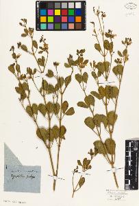 SW_BNB_s3010-09527_IMG-0000000001