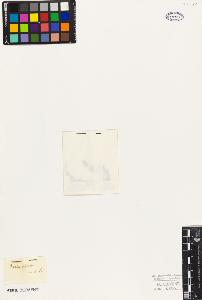 SW_BNB_s3010-09529_IMG-0000000001