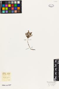 SW_BNB_s3010-09530_IMG-0000000001