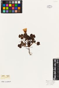 SW_BNB_s3010-09531_IMG-0000000001