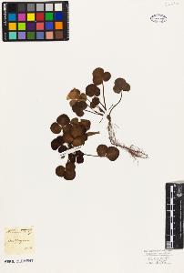 SW_BNB_s3010-09532_IMG-0000000001