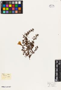 SW_BNB_s3010-09533_IMG-0000000001