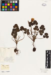 SW_BNB_s3010-09534_IMG-0000000001