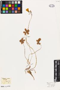 SW_BNB_s3010-09536_IMG-0000000001