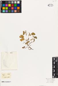 SW_BNB_s3010-09537_IMG-0000000001