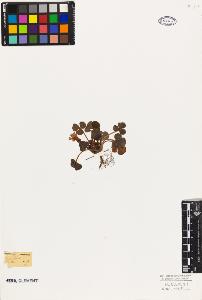 SW_BNB_s3010-09538_IMG-0000000001