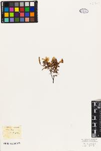 SW_BNB_s3010-09540_IMG-0000000001