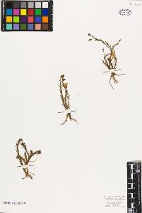 SW_BNB_s3010-09541_IMG-0000000001