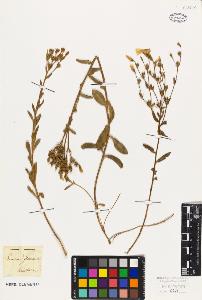 SW_BNB_s3010-09543_IMG-0000000001