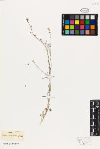 SW_BNB_s3010-09544_IMG-0000000001