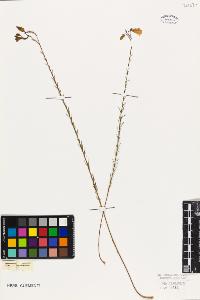 SW_BNB_s3010-09546_IMG-0000000001