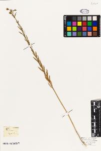 SW_BNB_s3010-09548_IMG-0000000001