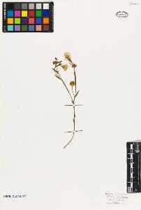 SW_BNB_s3010-09553_IMG-0000000001