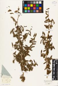 SW_BNB_s3010-09554_IMG-0000000001