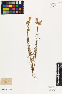 SW_BNB_s3010-09555_IMG-0000000001