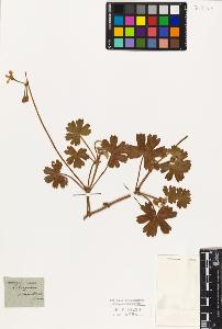 SW_BNB_s3010-09556_IMG-0000000001