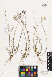 SW_BNB_s3010-09557_IMG-0000000001