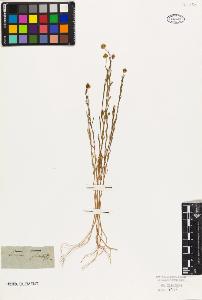 SW_BNB_s3010-09558_IMG-0000000001