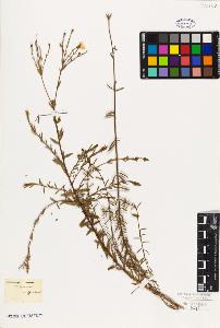 SW_BNB_s3010-09559_IMG-0000000001