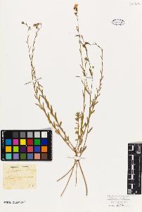 SW_BNB_s3010-09560_IMG-0000000001