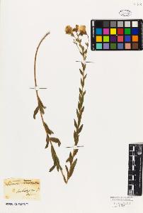 SW_BNB_s3010-09561_IMG-0000000001