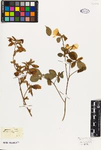 SW_BNB_s3010-09562_IMG-0000000001