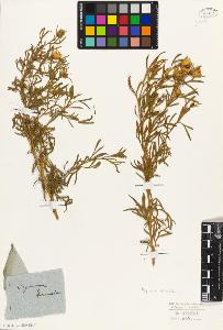 SW_BNB_s3010-09564_IMG-0000000001