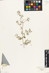 SW_BNB_s3010-09565_IMG-0000000001