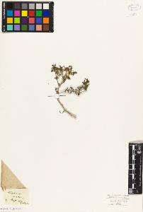 SW_BNB_s3010-09566_IMG-0000000001