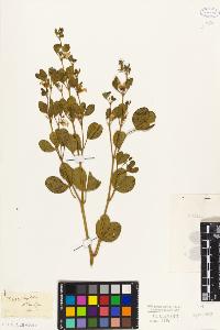 SW_BNB_s3010-09567_IMG-0000000001