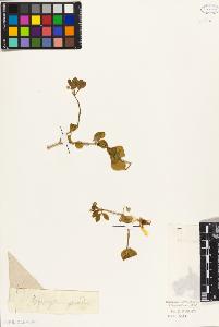 SW_BNB_s3010-09568_IMG-0000000001