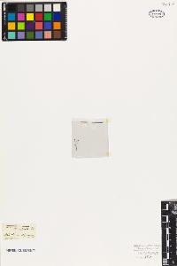 SW_BNB_s3010-09569_IMG-0000000001