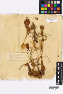 SW_BNB_s3010-16691_IMG-0000000001