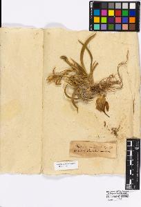 SW_BNB_s3010-16692_IMG-0000000001